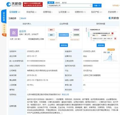 網(wǎng)信集團(tuán)再生變數(shù) 趙會民被下達(dá)限制消費(fèi)令，金融信息技術(shù)外包服務(wù)受關(guān)注